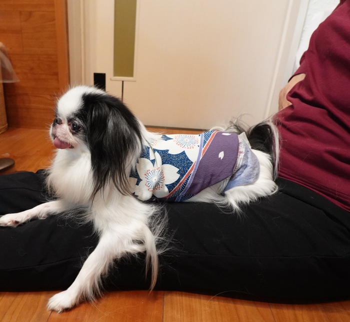 �鑾����@���a�������߂łƂ� (�摜�T�C�Y: 700�~645 132kB)