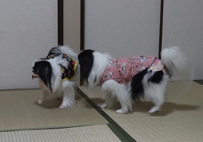 �鑾����@�Ă񂿂�� (�摜�T�C�Y: 700�~491 93kB)