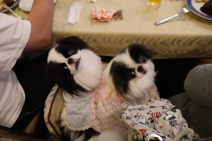 �O�t�����@���H���� (�摜�T�C�Y: 700�~467 119kB)