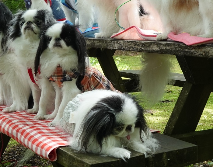 ���������@�ڗ������@��������� (�摜�T�C�Y: 700�~549 172kB)