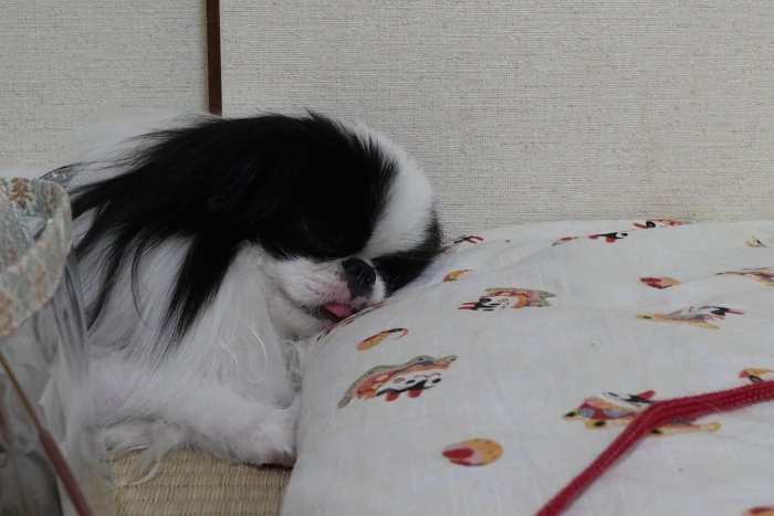 ���s�L�́@ (�摜�T�C�Y: 700�~467 110kB)