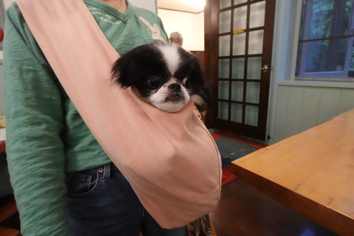 �X�����O (�摜�T�C�Y: 700�~467 106kB)