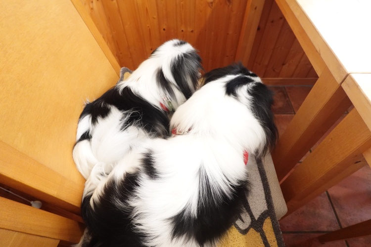 �킽������ (�摜�T�C�Y: 750�~500 115kB)