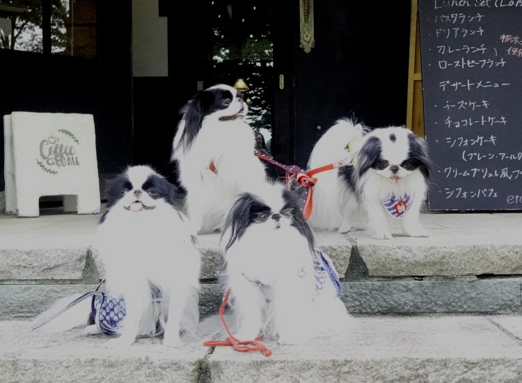 Re: �u�b�N�}�[�N�� (�摜�T�C�Y: 750�~550 140kB)