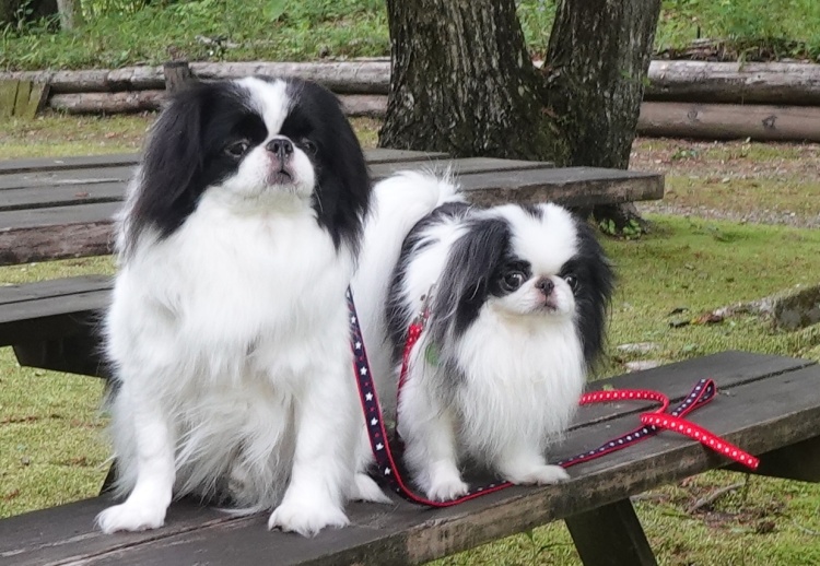 �������܂��Ă� (�摜�T�C�Y: 750�~518 177kB)